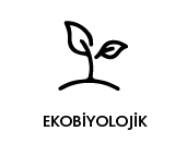 brand-image
