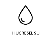 brand-image